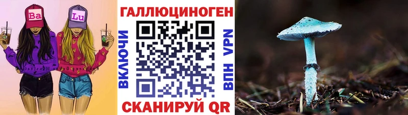 где купить   Белореченск  Галлюциногенные грибы Psilocybine cubensis 